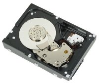   Dell 500Gb NL SAS 7.2K 2.5" 6Gbps Hot Plug Fully Assembled - Kit (400-19736-3)