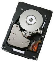   IBM ExpSell RET 500GB 2.5" SATA HS 7.2K 6Gb NL HS22 (81Y9726-SS 81Y9844)