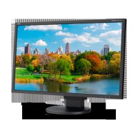  22" NEC E221N-BK Black IPS LED 1920x1080 6ms VGA HDMI DisplayPort