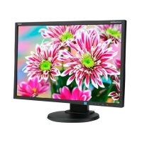 NEC  TFT 22" EA223WM Black (1680x1050, TN WLED, 5ms, 170"/160", 250cd/m2, 25000:1,