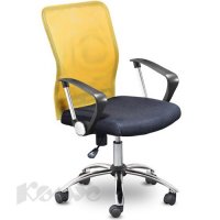  UP_EChair-203 PTW net  ,  , 