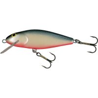  Salmo Perch DR 08/GS