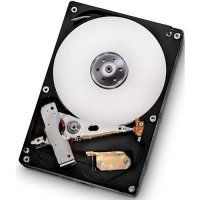   2.0Tb HGST Ultrastar 7K4000 HUS724020ALS640, 3.5" SAS 6Gb/s, 7200 RPM, 64Mb (0B26887)