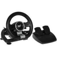   DEXP Wheelman 1  24 ,   Android, Nintendo Switch, PC, PS3, , 