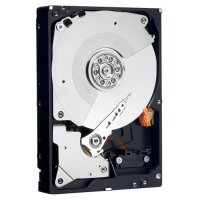   3.5" 1 Tb 7200rpm 64Mb cache Western Digital RE4 SATAII WD1003FBYX