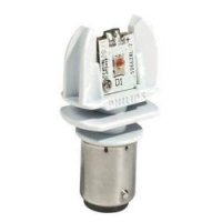    Philips P21W 12V/24V-21W BA15s LED 2 . [12898 RX2]