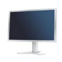  21.3" Nec 2190UXp Silver/White LCD MultiSync