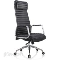   Echair-528 ML ( ,  )