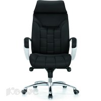   Echair-529 ML ( ,  )