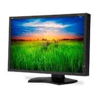  30" Nec PA301W BK/BK; IPS; 2560 x 1600; ms GtG; 350 cd/m2; 1000:1; 178/178 (CR:10); HAS; Piv