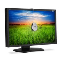  29.8" Nec PA301W-BK    (LCD, Wide, 2560x1600, 2xDVI, 2xDisplayPort, USB Hub)