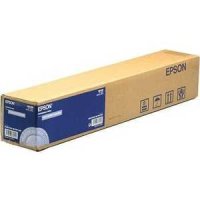 Epson  Photo Paper Gloss 250 17" 30.5m (C13S041892)