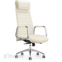   Echair-528 ML ( ,  )