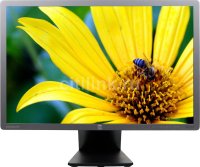 24"   hp EliteDisplay E241i (F0W81AA)  (LCD,Wide,1920x1200, D-Sub, DVI,