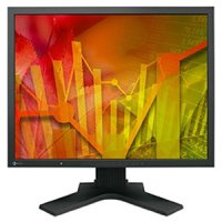   EIZO FlexScan S2133 21" IPS black VGA DVI DisplayPort