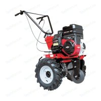  PUBERT TERRO 60B C2  ,  Briggs&Stratton