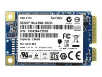 SanDisk SD6SF1M-256G-1022I   SSD mSATA X110 256GB MLC 465/515Mb Individual