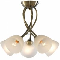   Arte Lamp Nikki A2576PL-5AB