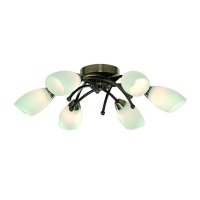   Arte Lamp Opal A8186PL-6AB