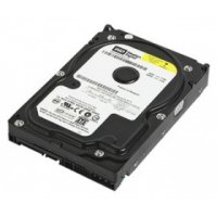   HDD 250Gb SATA-II WD Caviar Blue [WD2500AAJS, 7200rpm, 8Mb]