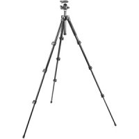  MANFROTTO MK293A4 + AORC2