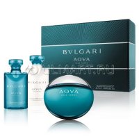   Bvlgari Aqva Pour Homme  , 50 +   , 40 +  