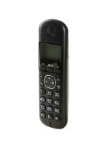 Panasonic KX-TGB210RUB (Black) / (   ., DECT)