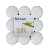   Bolsius   18 