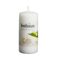   Bolsius   120  60 