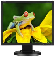  19" Nec V191W-BK 1366x768 800:1 280 / 2 5  (D-Sub)