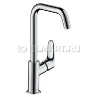   ,   HANSGROHE 31609000 Focus  2 00000008226