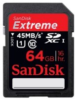   SANDISK SDSDRX3-064G