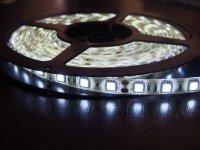   Neon-Night SMD 3528 60led/m 12V 24W 5m IP65 White 141-355-0