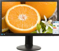   AOC Professional E2460PHU, 