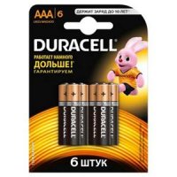  Duracell Basic (AAA, Alkaline, 6 )