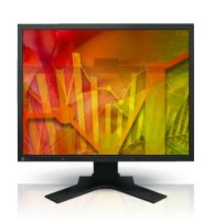  21" EIZO FlexScan S2133 Black IPS LED 1600x1200 6ms VGA DVI DisplayPort