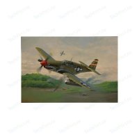  Revell P-51 Mustang, 1:72, (3) 04182