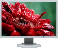   NEC MultiSync E223W,   