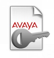  Avaya 174957