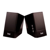 Divoom Iris-05  A2.0 6 , 100-20000 , USB-Power, black