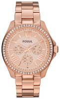   FOSSIL AM4483, 