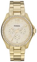   FOSSIL AM4482, 