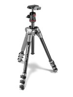   Manfrotto Befree Aluminum Gray (MKBFRA4D-BH)