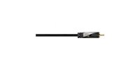   AVINITY RCA(f-RCA(m 2m  ,  (00107514)