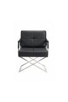 DG Home  Aster X Chair (: )