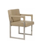  DG Home Aster Chair Sand Premium Leather