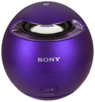  Sony SRS-X1/VC