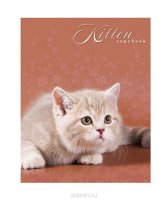  96  A5   ""    -KITTEN-