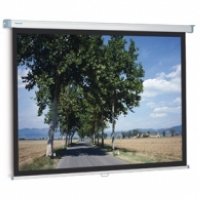  Projecta SlimScreen 153  200  Datalux   4:3