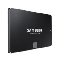  (SSD)   Samsung MZ-75E250BW